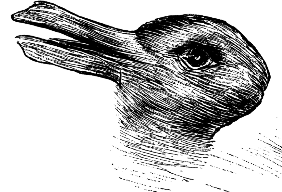 Perspective Taking Duck or Rabbit